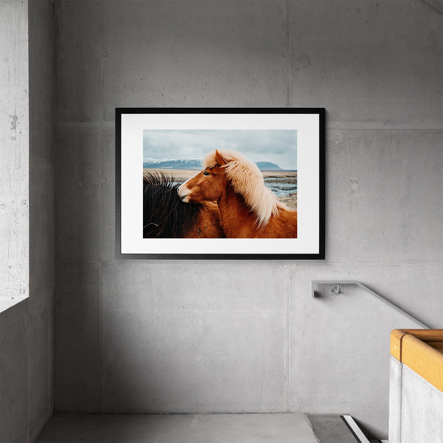 Icelandic Horse Portrait - Art Print