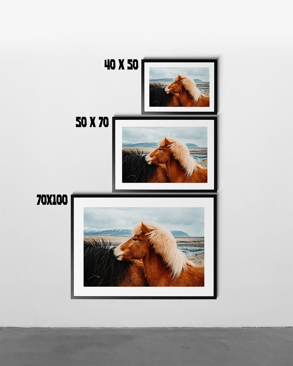 Icelandic Horse Portrait - Art Print