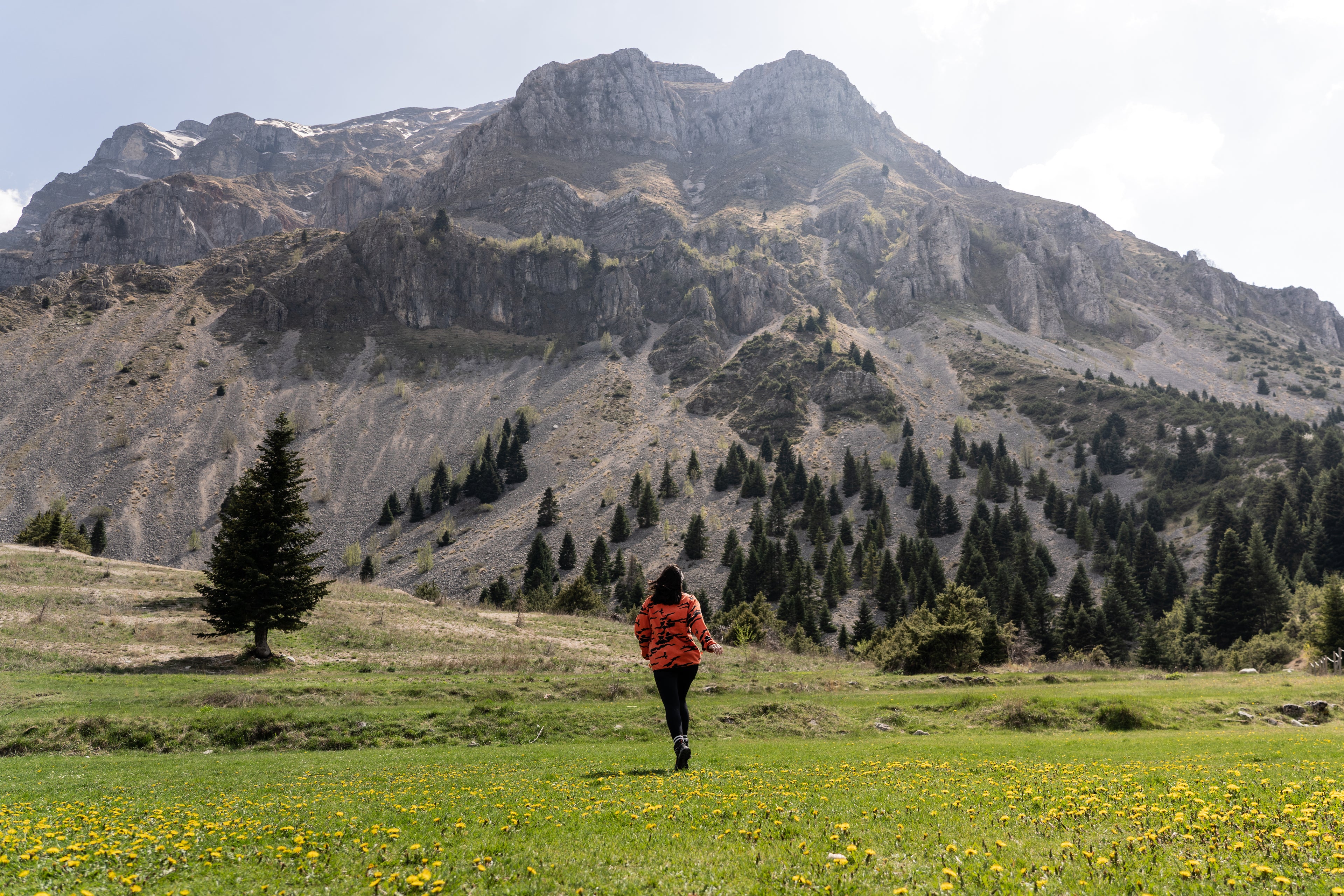 Running in Tzoumerka - Art Print