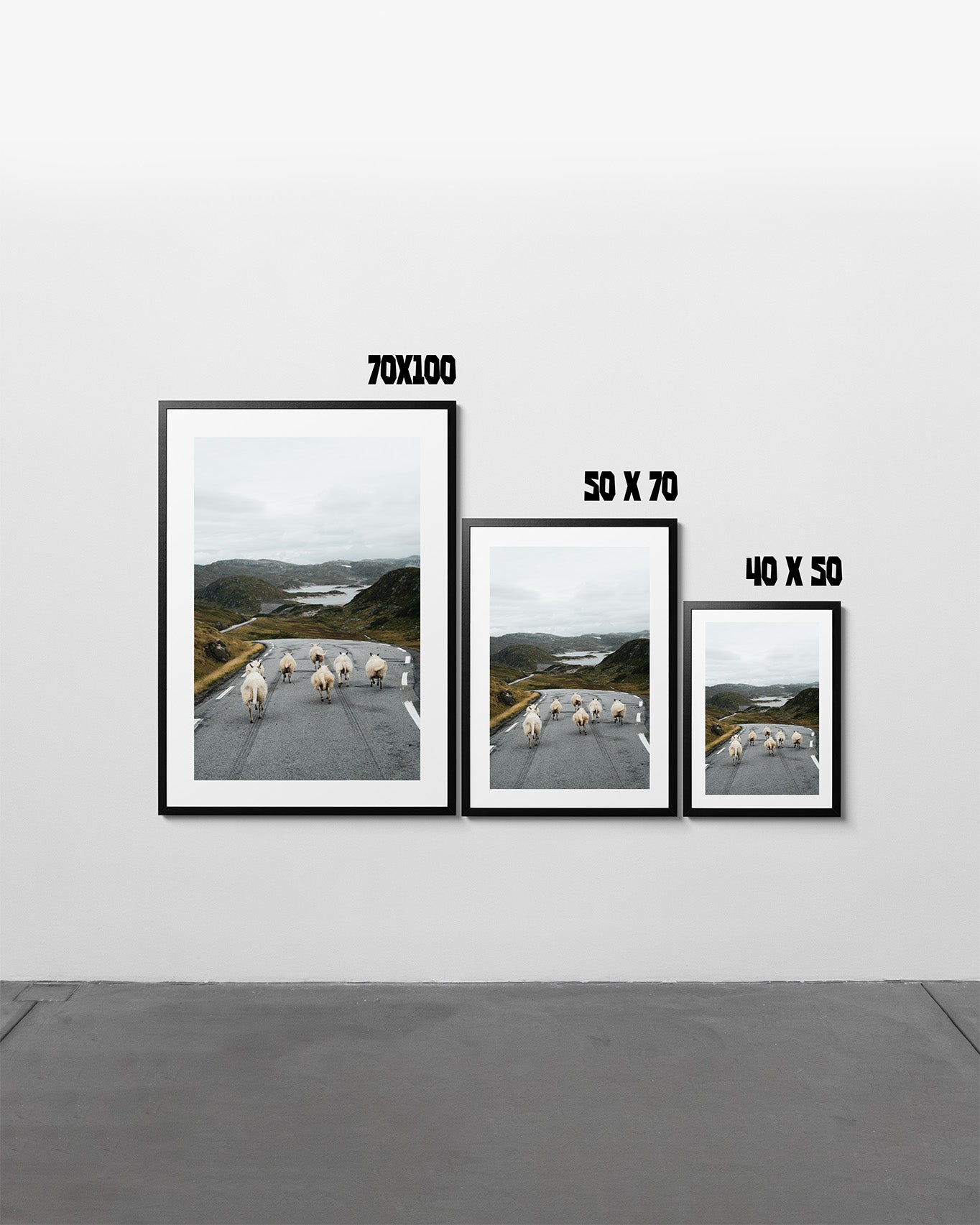 Norway Sheep - Art Print