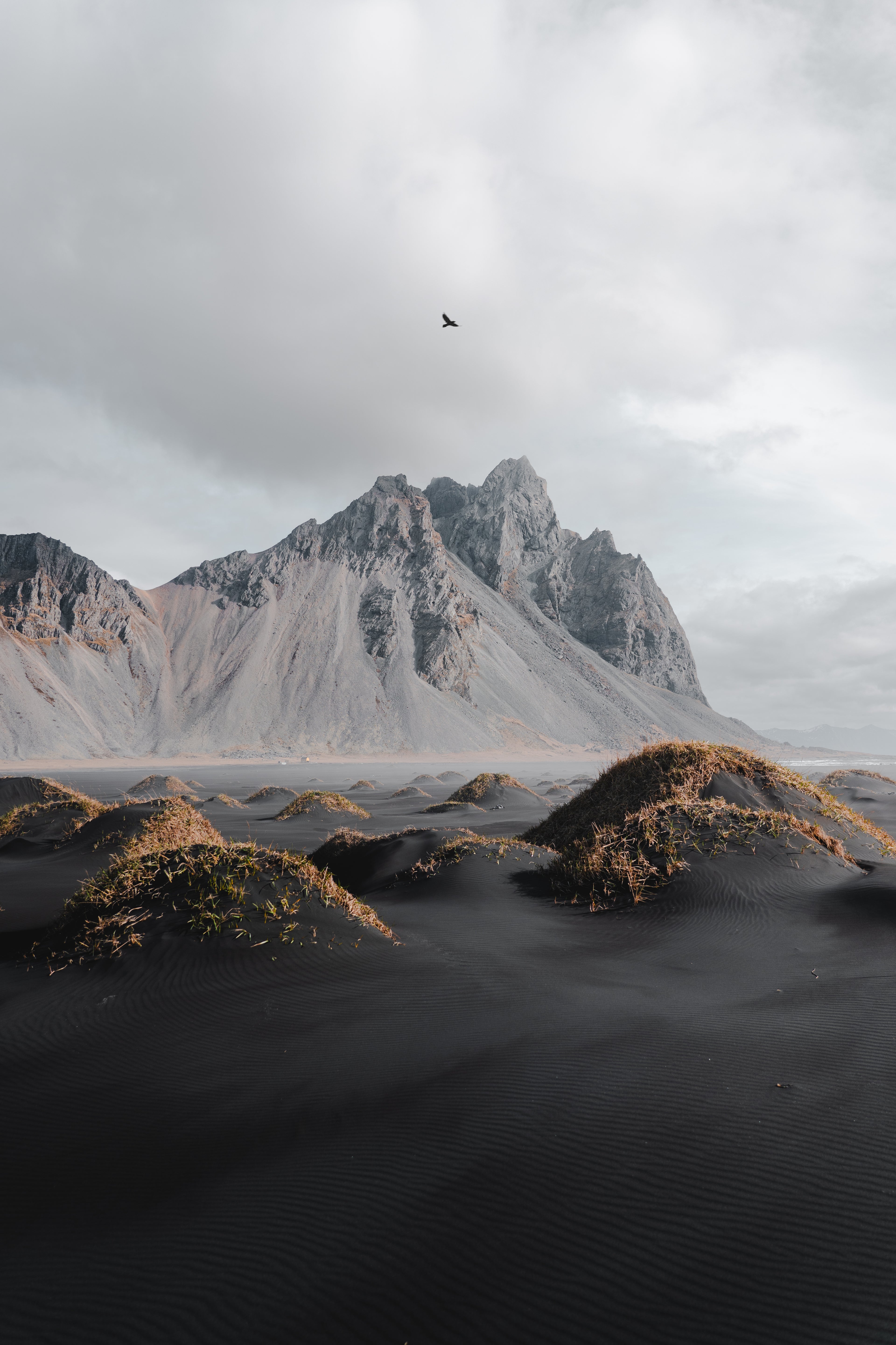 Vestrahorn Crow - Art Print