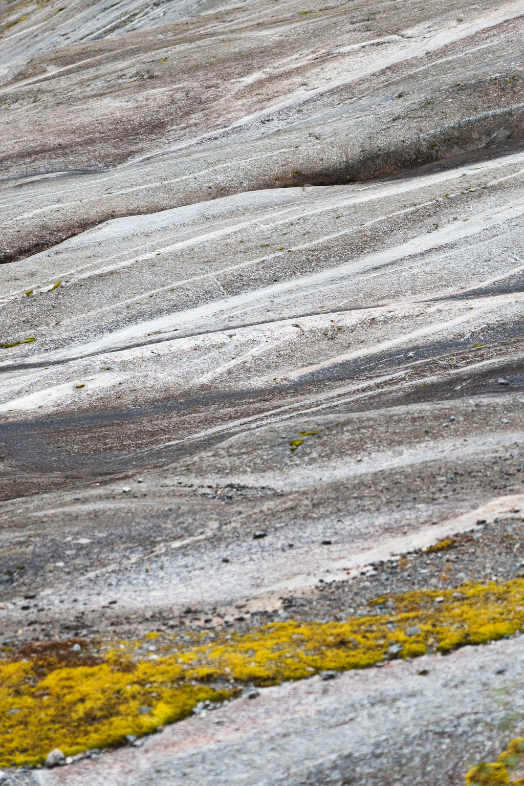 Norway Texture - Art Print