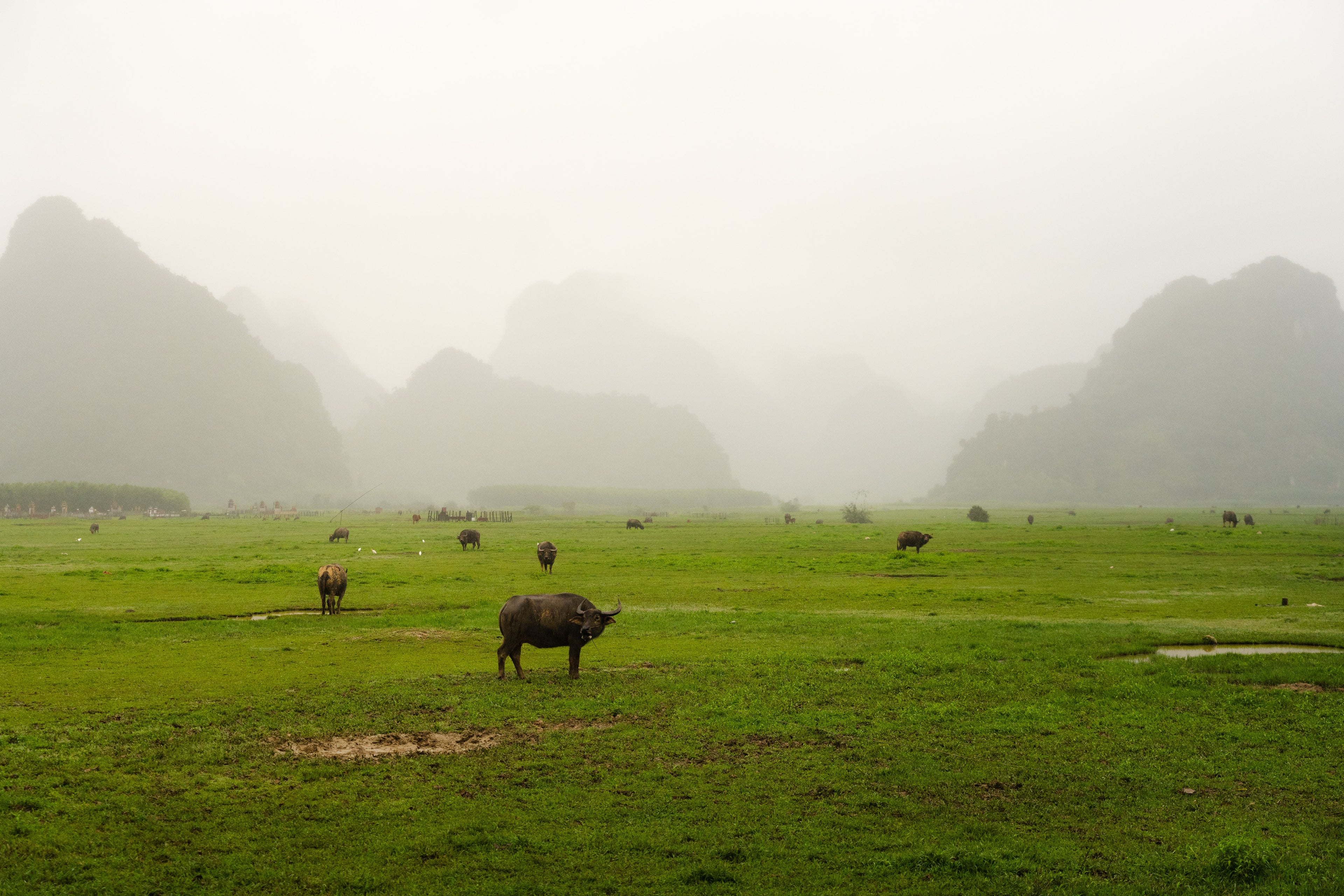 Valley of Phong Nha - Art Print