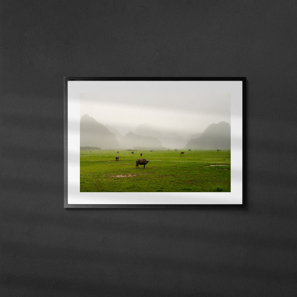 Valley of Phong Nha - Art Print
