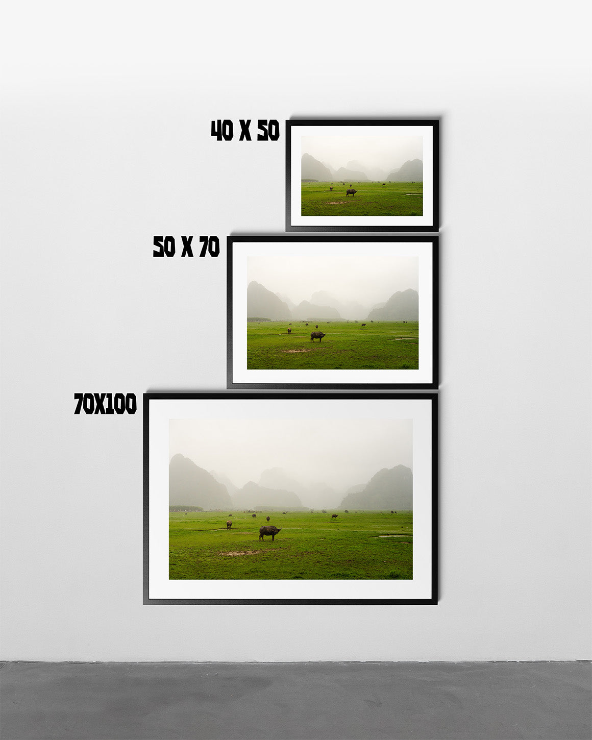 Valley of Phong Nha - Art Print
