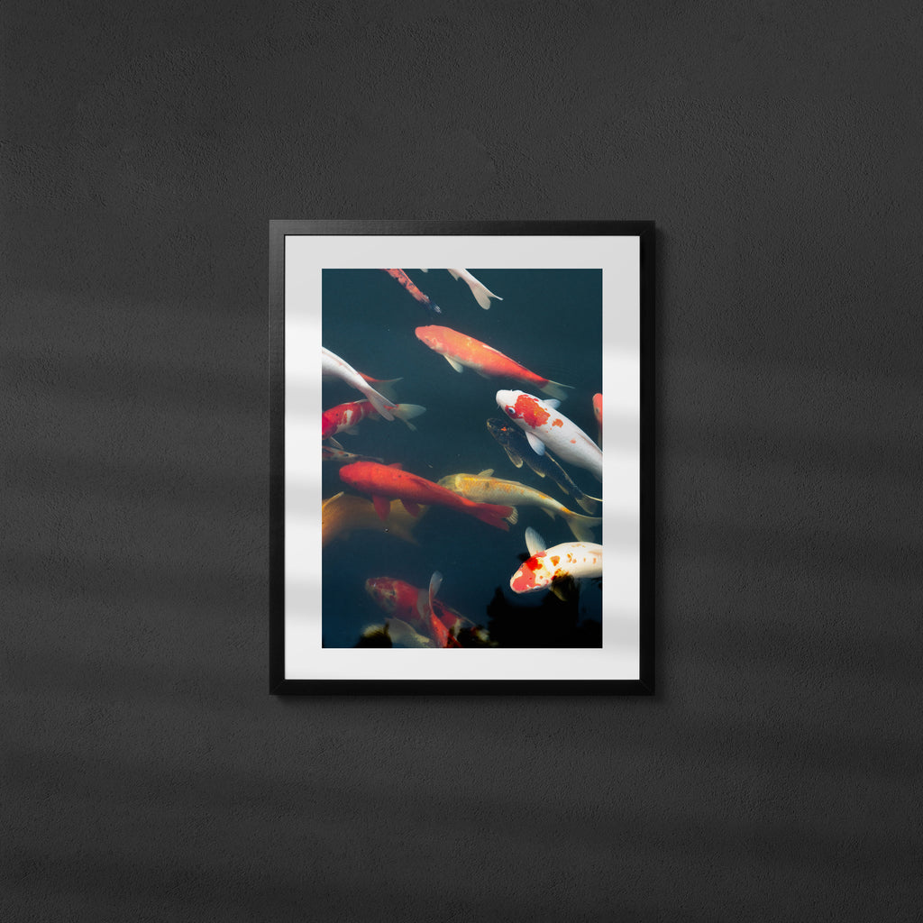 Pond - Art Print