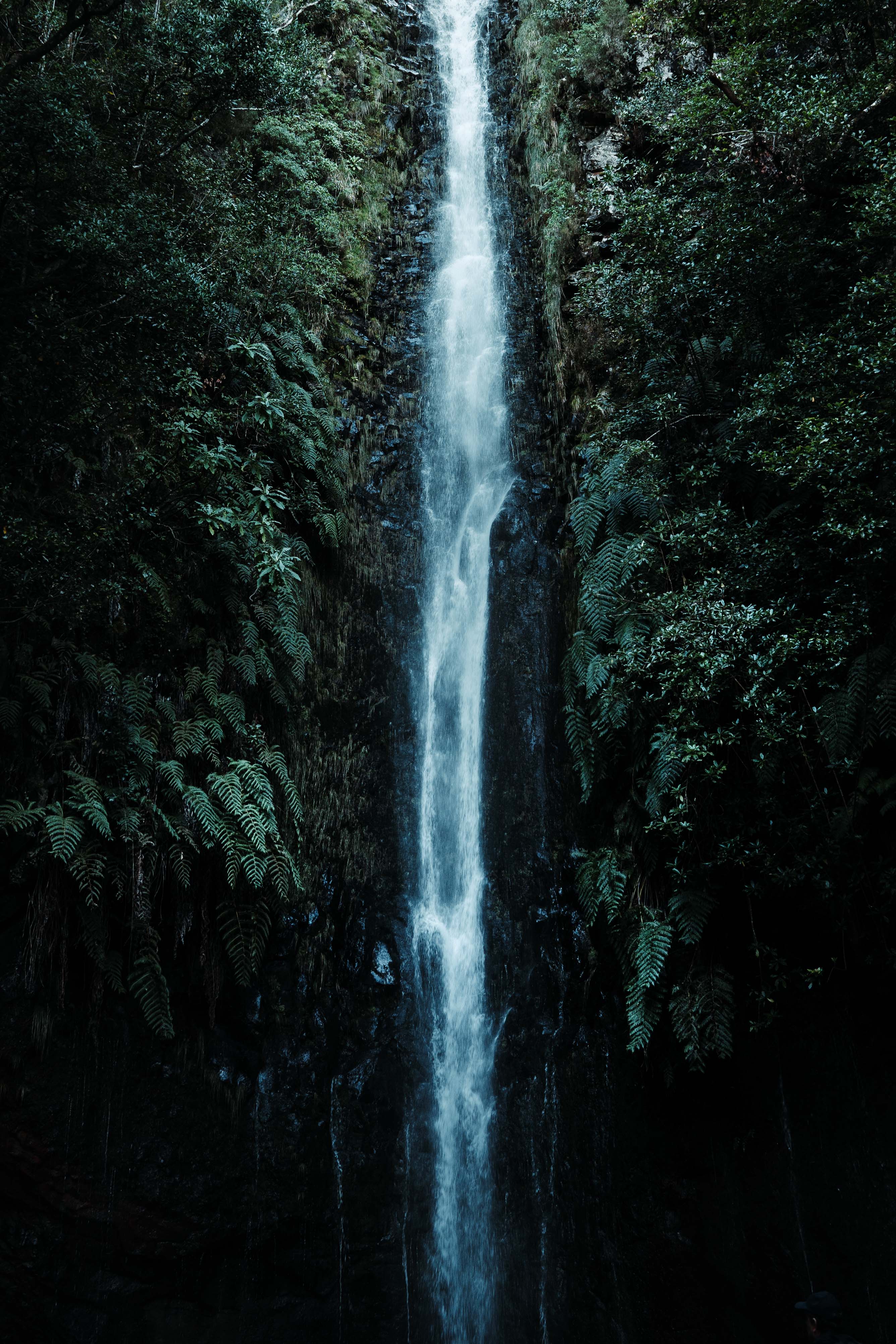 25 Fontes Falls- Art Print