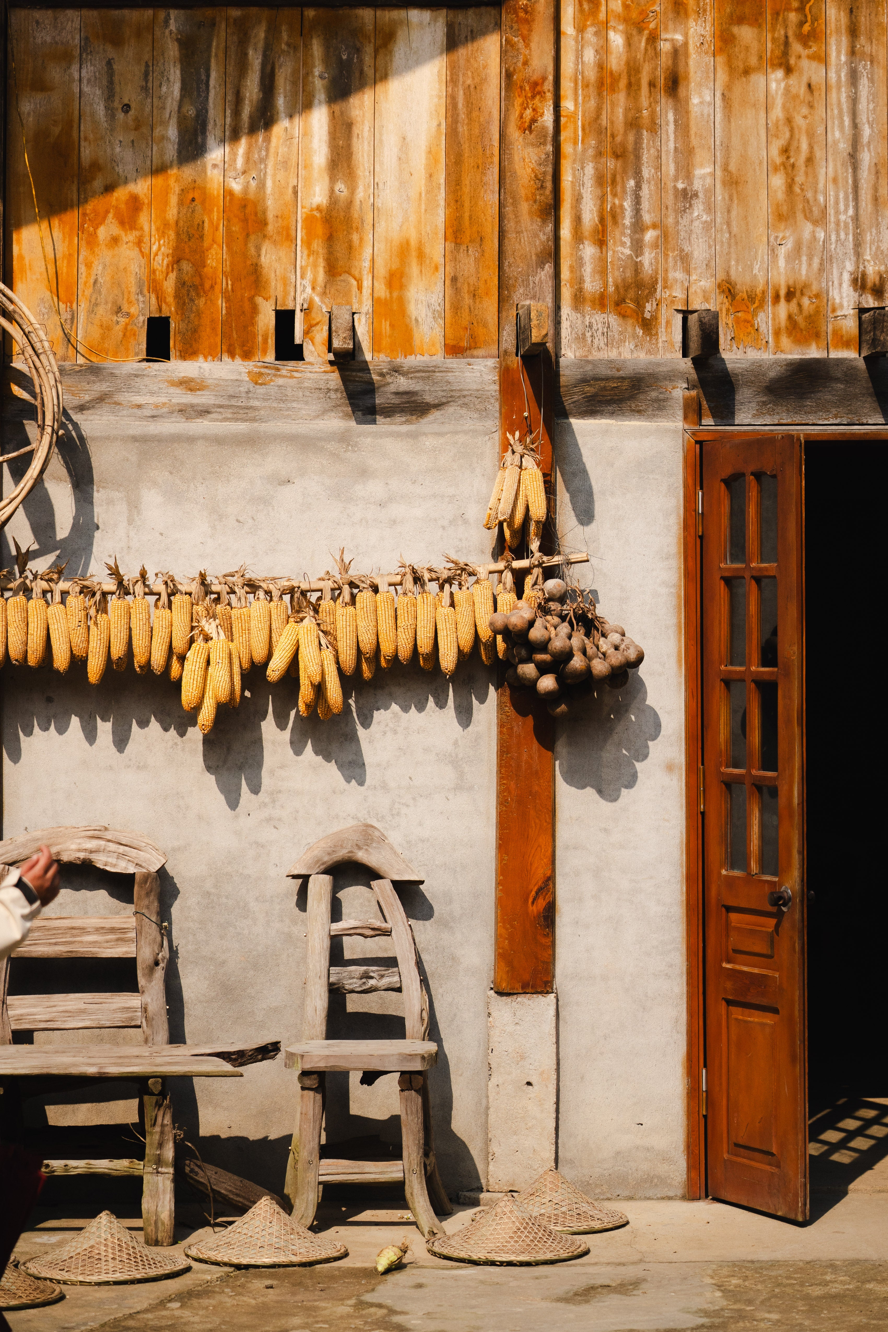 Corny - Art Print