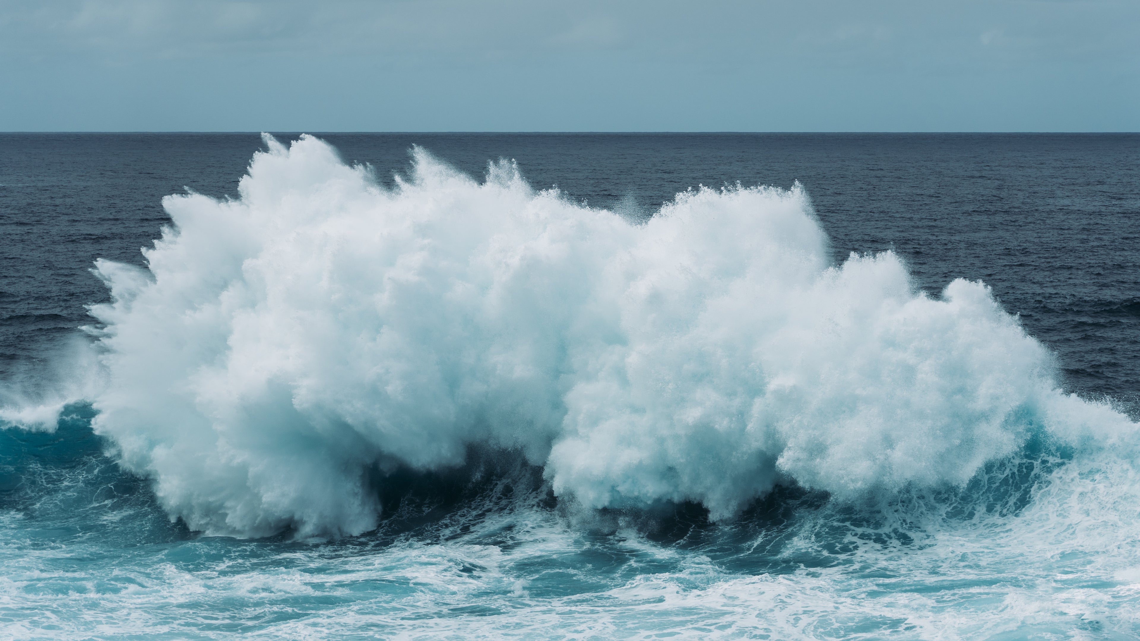 Wave - Art Print