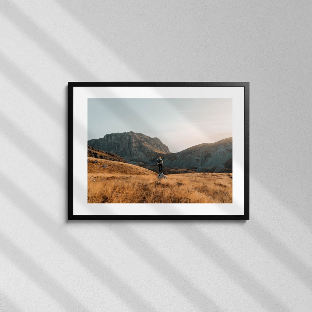 Loner - Art Print